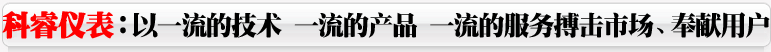 電磁流量計，渦街流量計，旋進旋渦流量計，平衡流量計，孔板流量計，超聲波流量計，V錐流量計，壓力變送器、差壓變送器